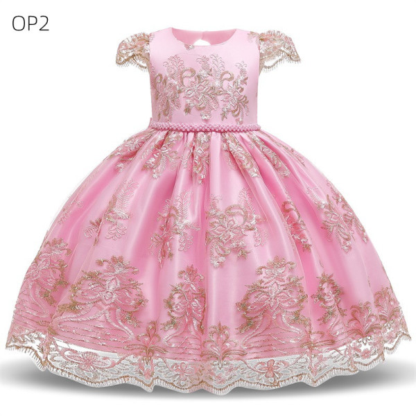 Girls' embroidered dress dress