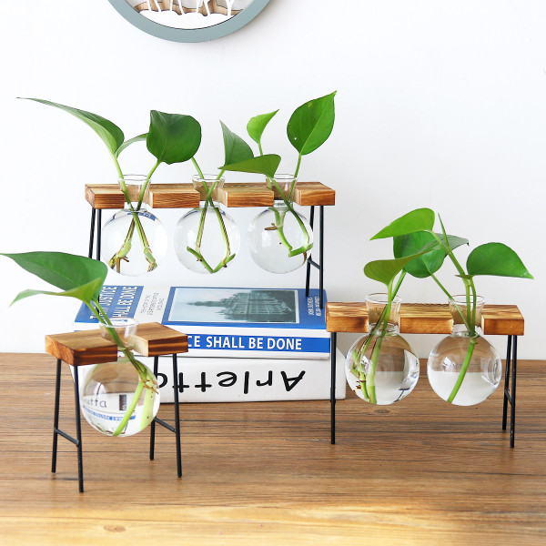 Hanging Desktop Glass Planter Bulb Vase with Wooden Stand