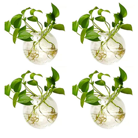 Plant Flower Vase Hydroponic Container