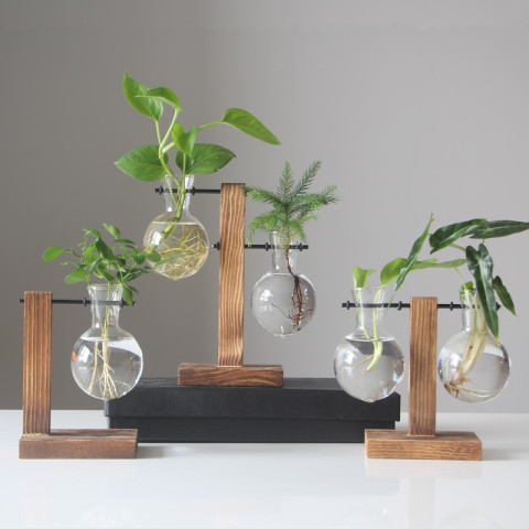 Table Desk Bulb Glass Hydroponic Vase planter with Wooden Stand and Metal Swivel Holder 