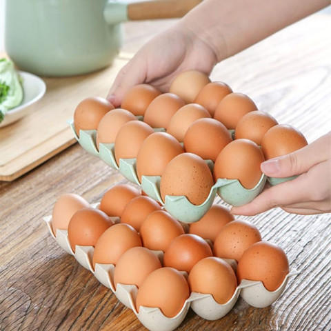 15pcs and 24pcs Refrigerator Storage Egg Holder Box 