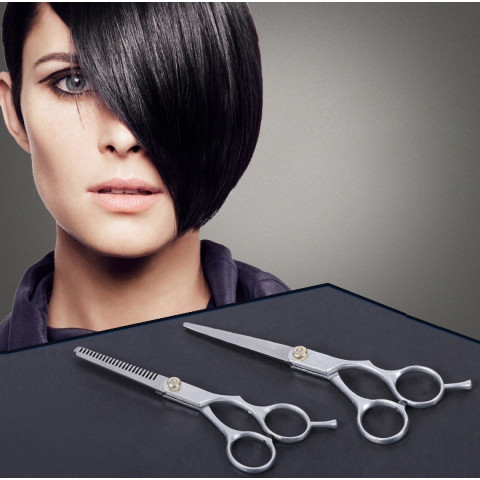 Professional Hairdressing Scissor Set