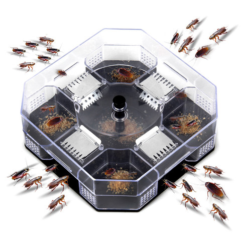 Household Effective Cockroach Traps Box  