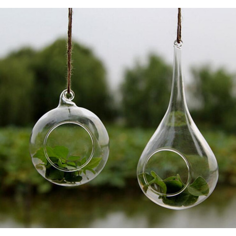 Transparent  Hanging Glass Vase